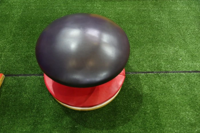 Mushroom Goat Jumping Saddle