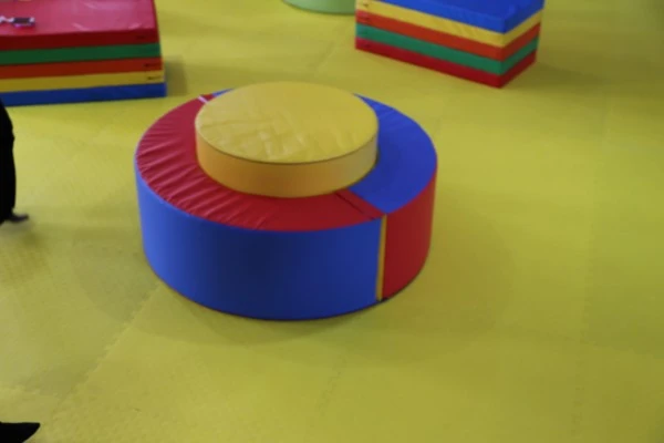 Positive And Negative Poles Mats